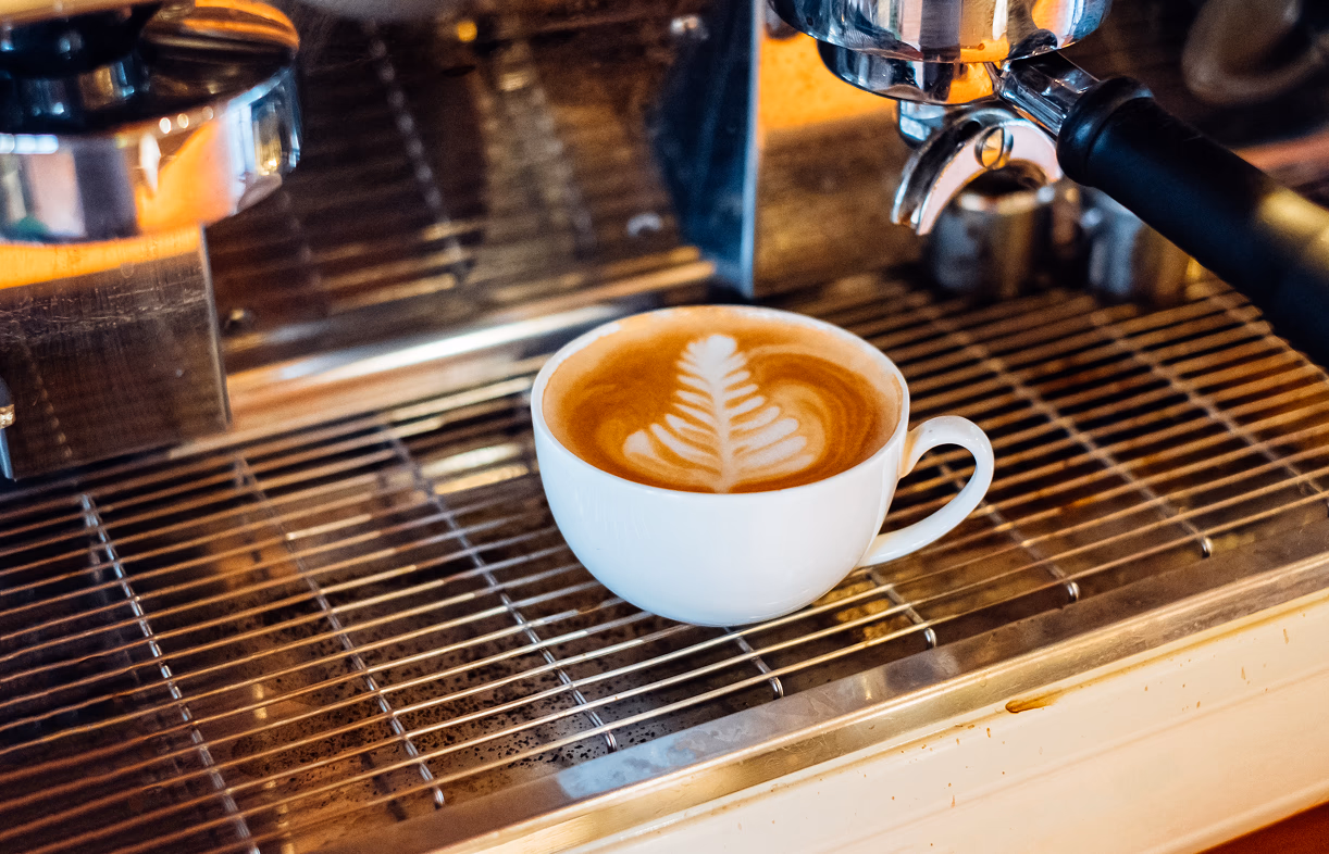 Single Gallery Image